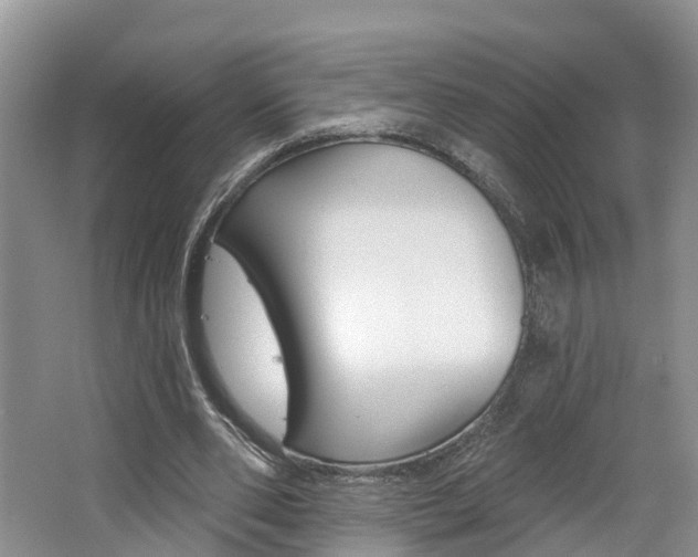 X0000062690486200512211136