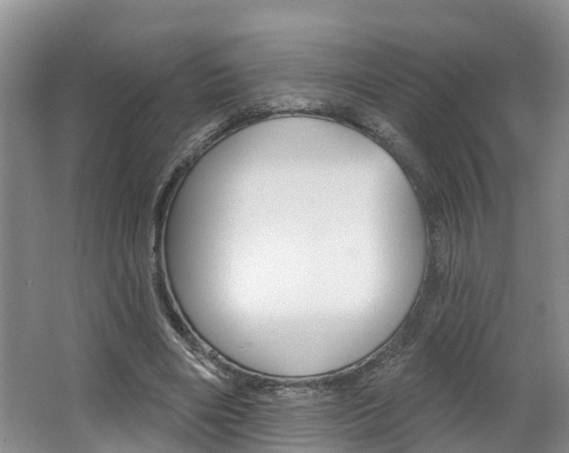 X0000062690490200512211136