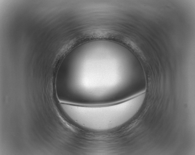 X0000062690493200512211136