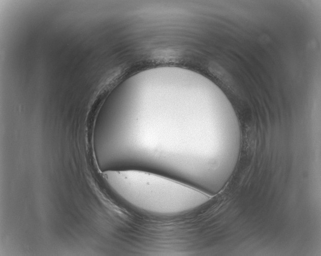 X0000062690494200512211136