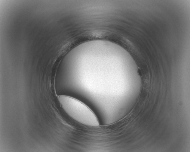 X0000062690500200512211136