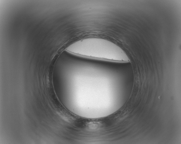 X0000062690508200512211136