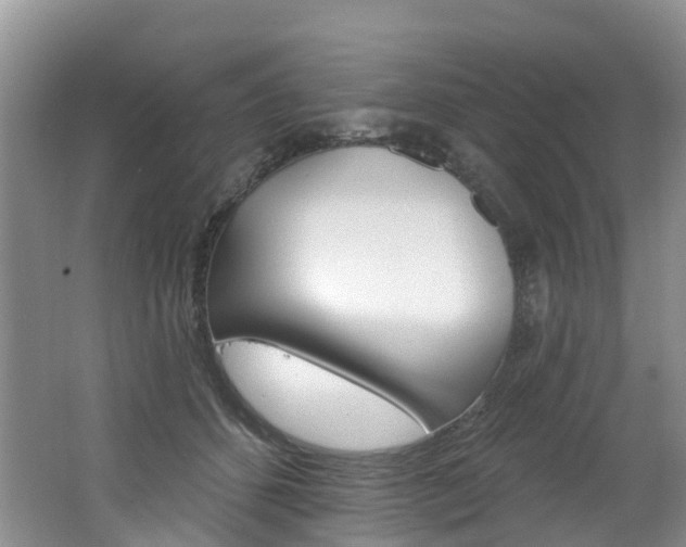X0000062690512200512211136