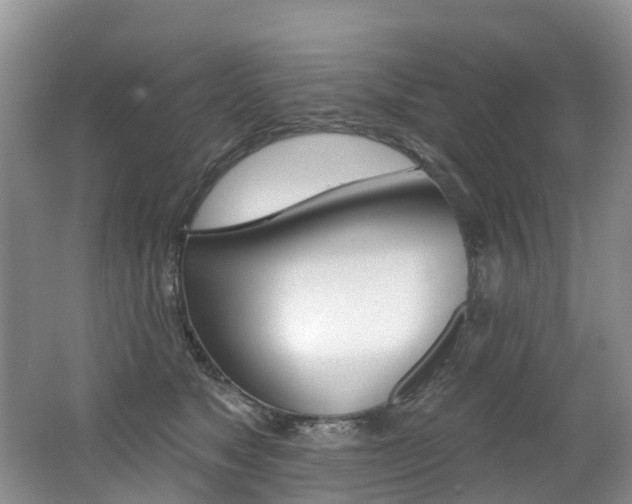 X0000062690517200512211136