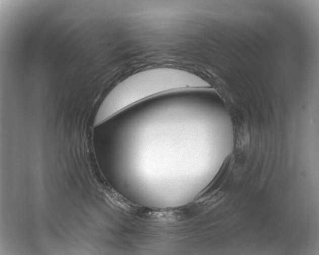 X0000062690524200512211136