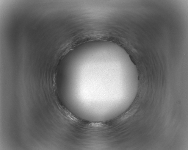 X0000062690528200512211136