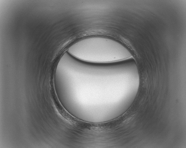 X0000062690538200512211135