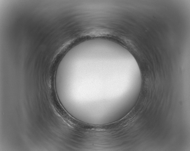 X0000062690539200512211135