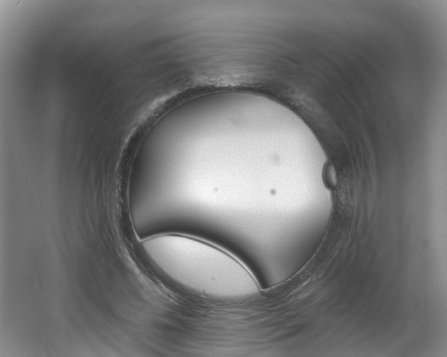 X0000062690540200512211135