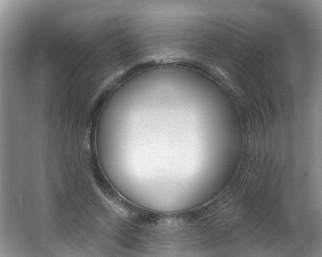 X0000062690543200512211135