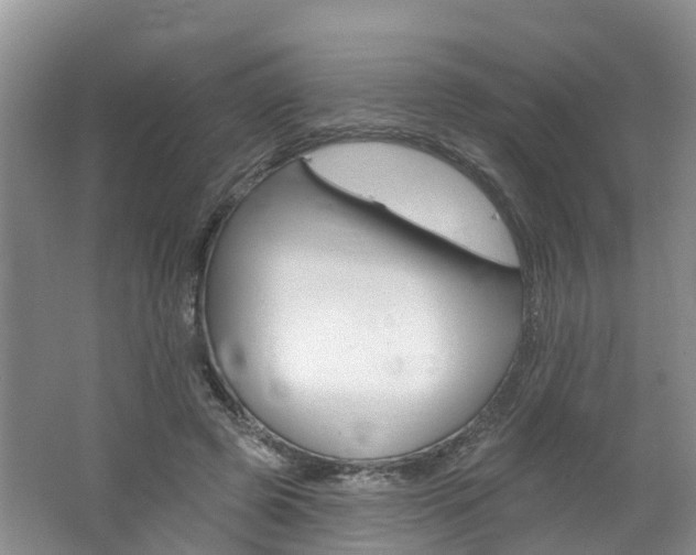 X0000062690545200512211135