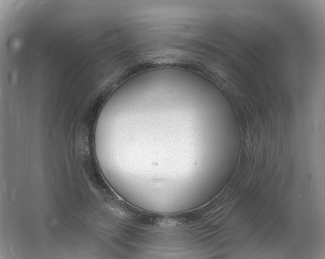 X0000062690547200512211135