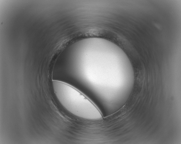 X0000062690548200512211135