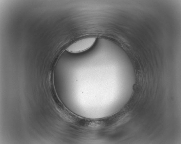 X0000062690550200512211135