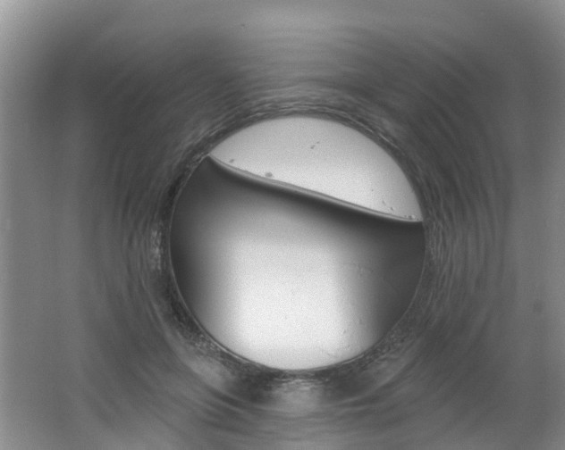 X0000062690551200512211135
