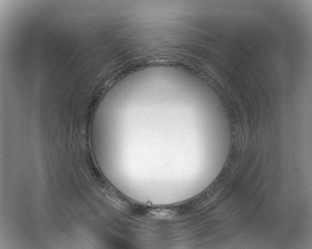 X0000062690557200512211135