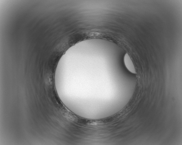 X0000062690561200512211135