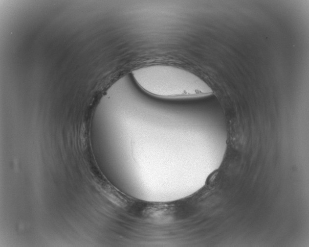 X0000062690563200512211135