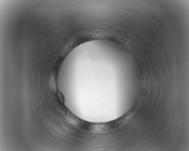 X0000062690575200512211136