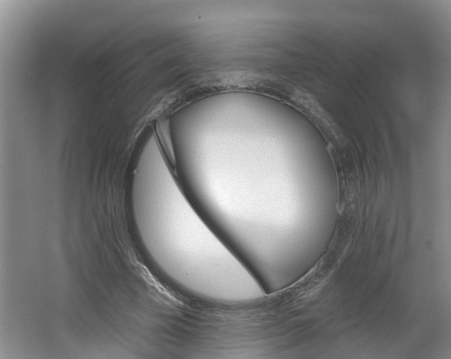 X0000062690585200512211135