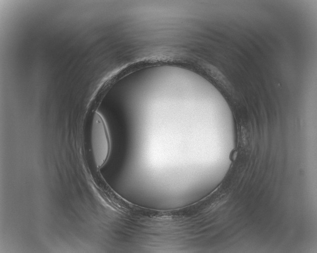 X0000062690588200512211135