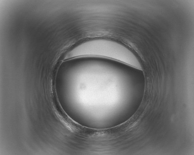 X0000062690589200512211135