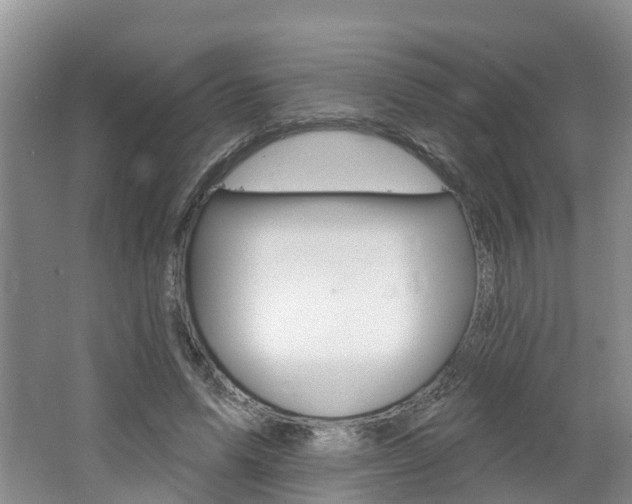 X0000062690591200512211135