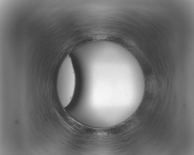 X0000062690598200512211134