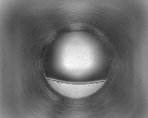 X0000062690601200512211134