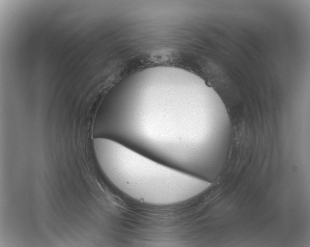 X0000062690606200512211134