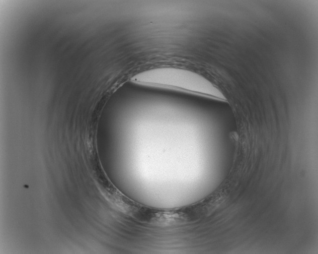 X0000062690607200512211134