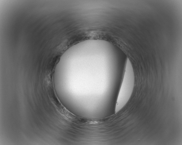 X0000062690611200512211134
