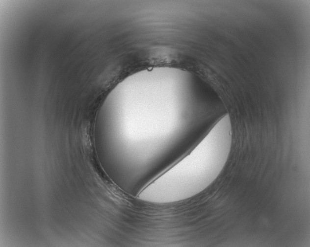 X0000062690616200512211134