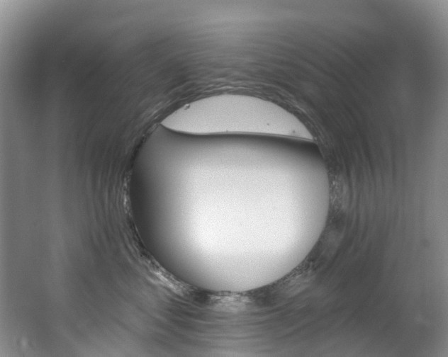 X0000062690621200512211134