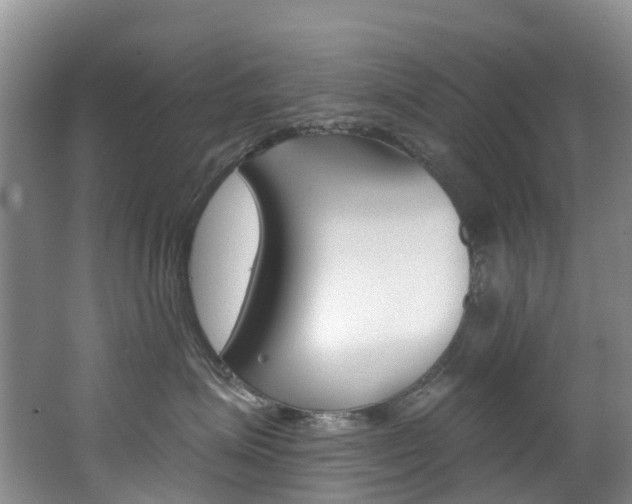 X0000062690623200512211134