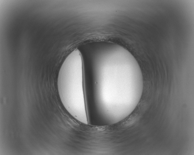 X0000062690624200512211134