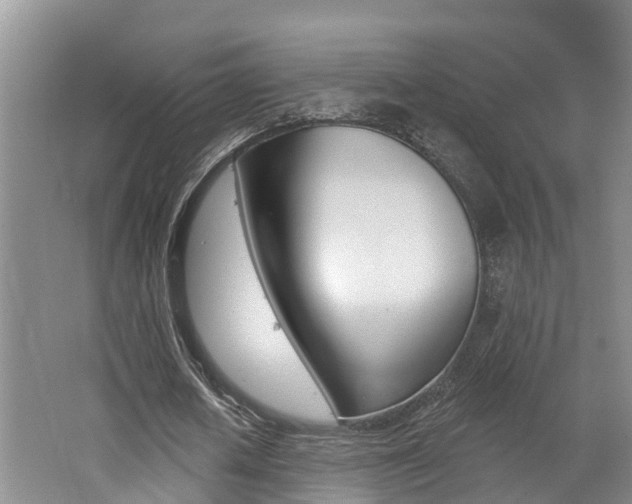 X0000062690626200512211133