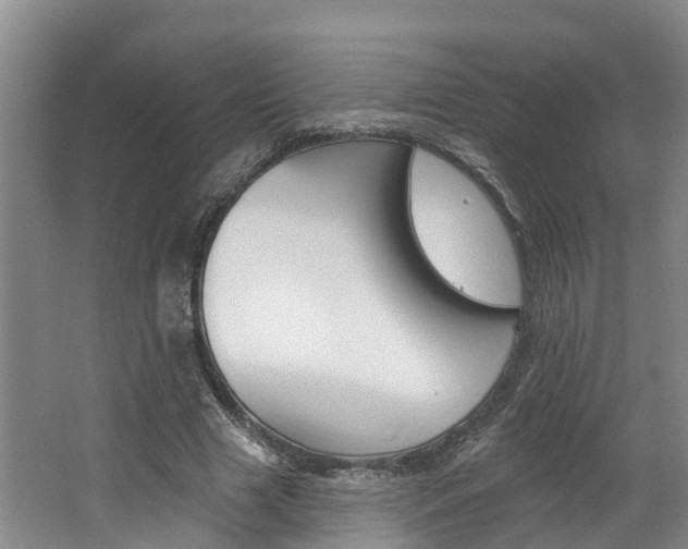 X0000062690633200512211133