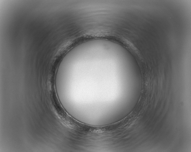 X0000062690635200512211133