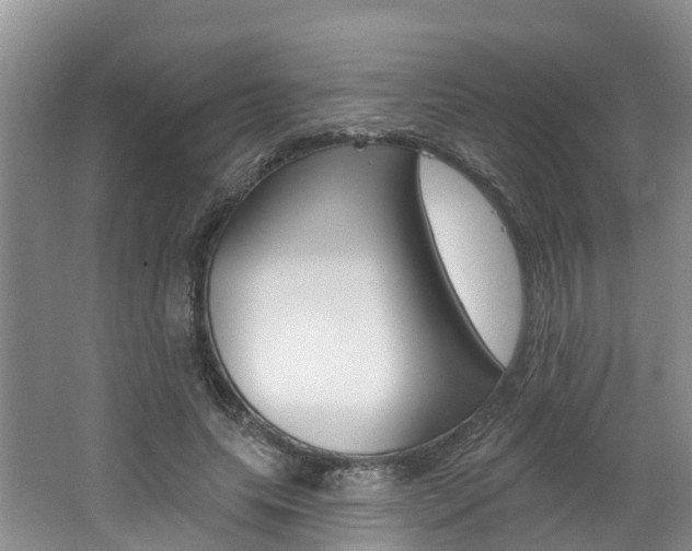 X0000062690639200512211133