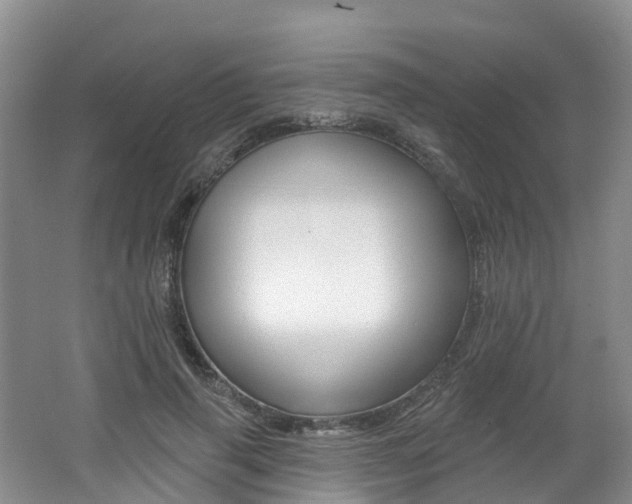 X0000062690645200512211133