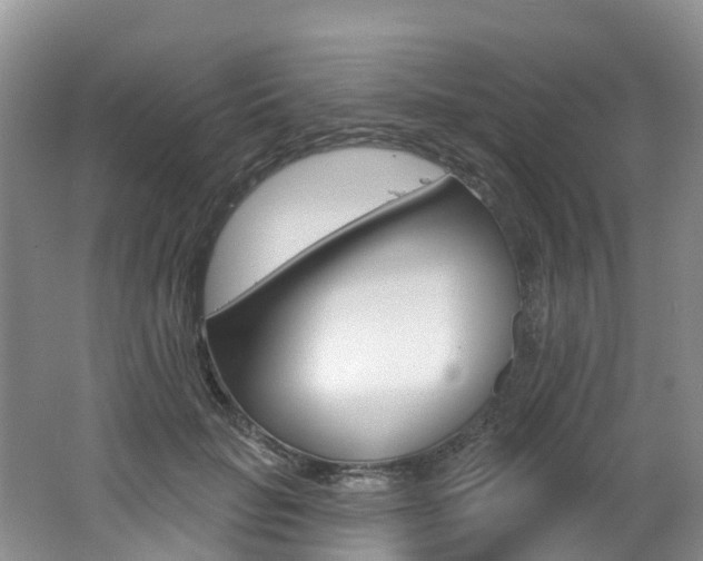X0000062690653200512211134
