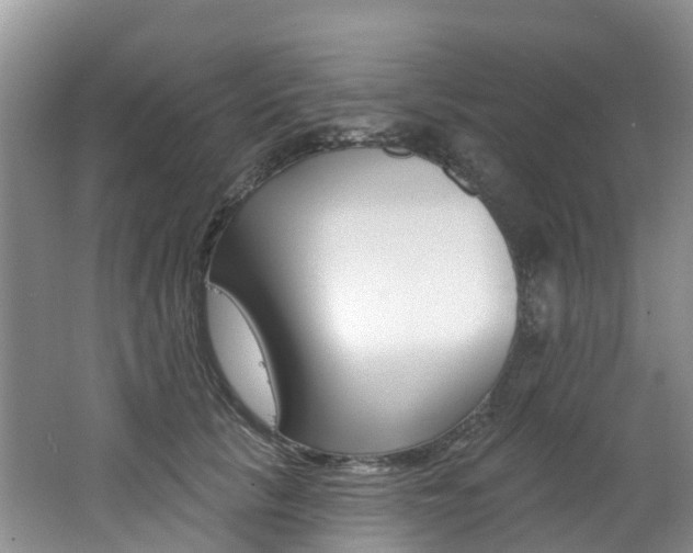 X0000062690657200512211134