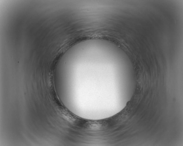 X0000062690658200512211134