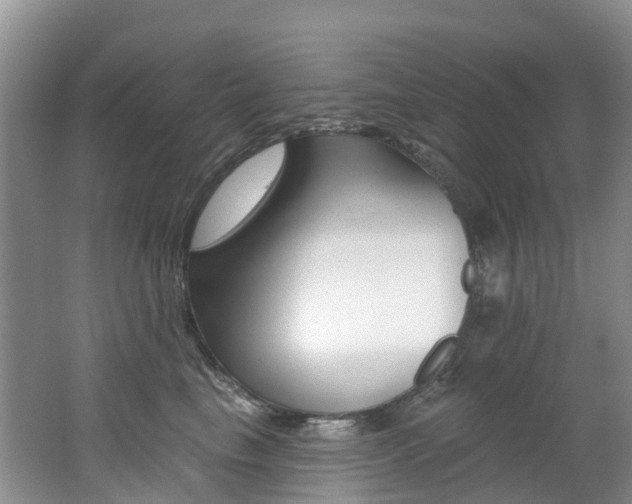 X0000062690665200512211134