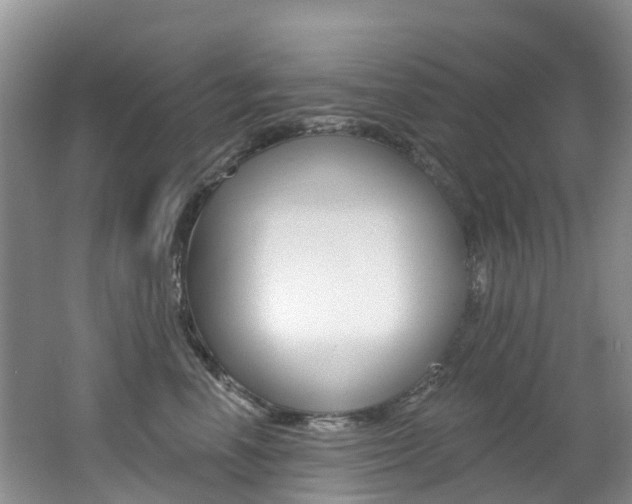 X0000062690666200512211134
