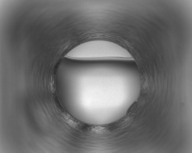 X0000062690669200512211134