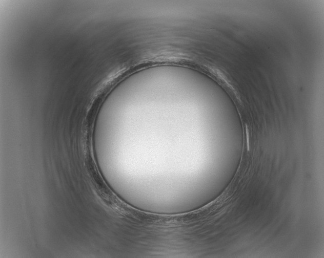 X0000062690675200512211133
