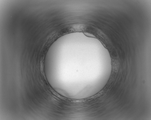 X0000062690701200512211133