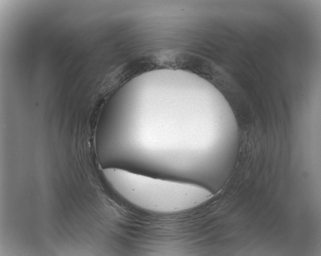 X0000062690702200512211133